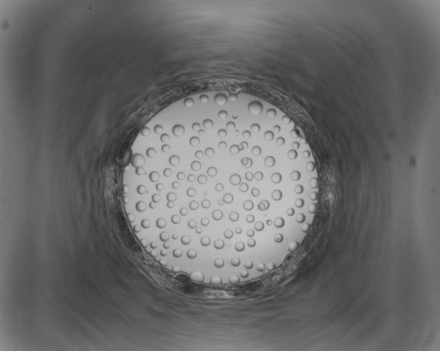 X0000087580519200704271048