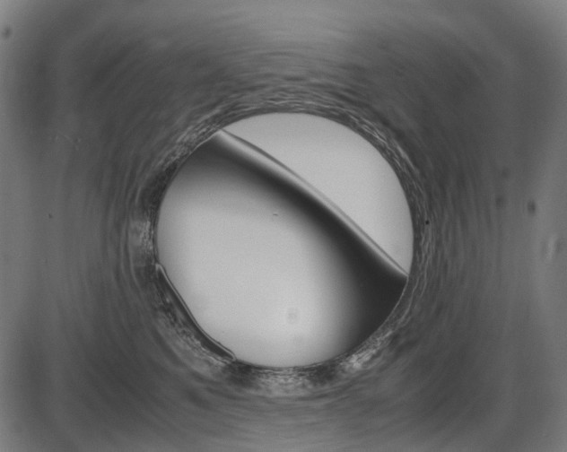 X0000087580521200704271048