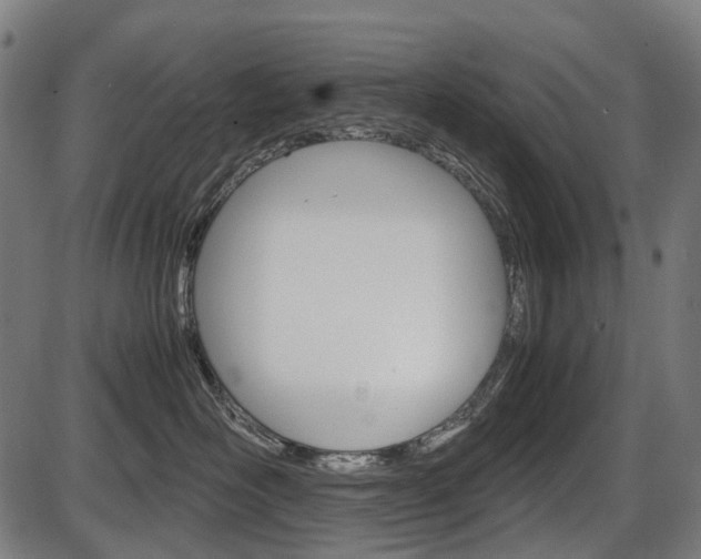 X0000087580526200704271048
