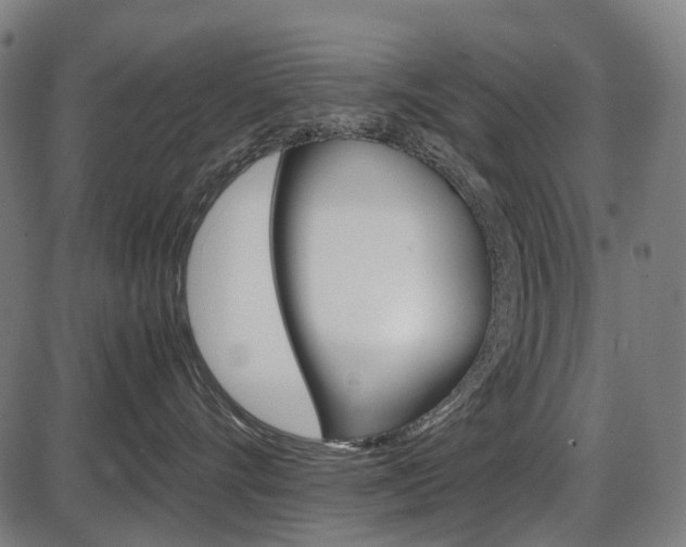 X0000087580528200704271048