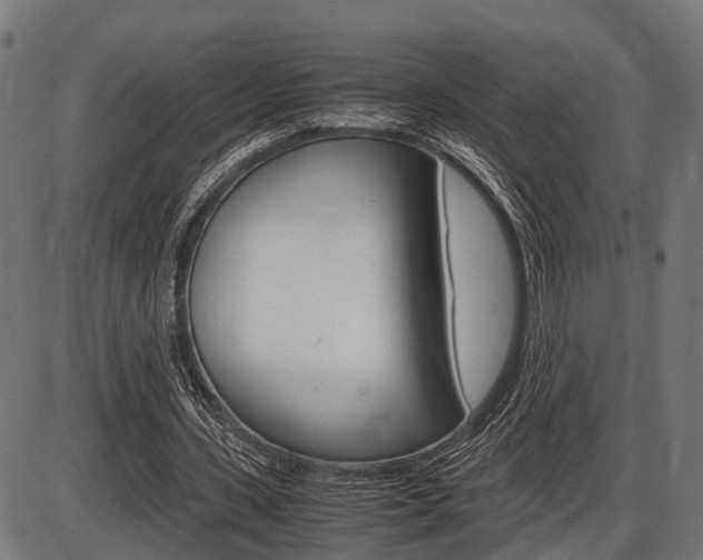 X0000087580531200704271047