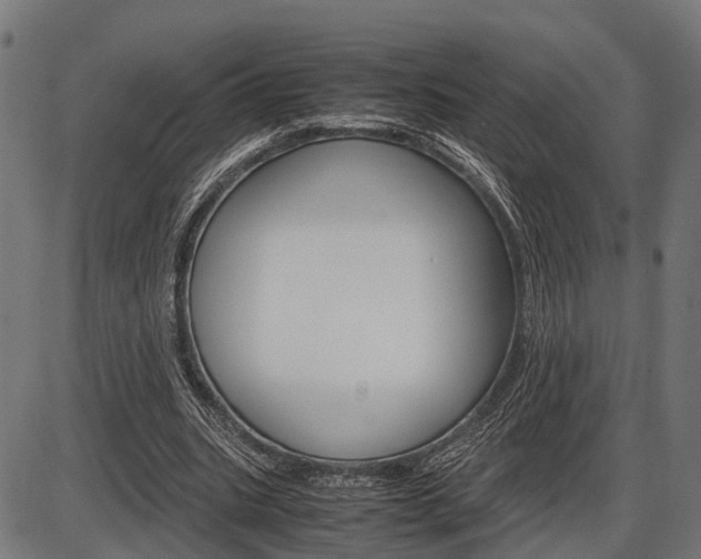 X0000087580535200704271047