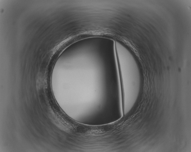 X0000087580536200704271047