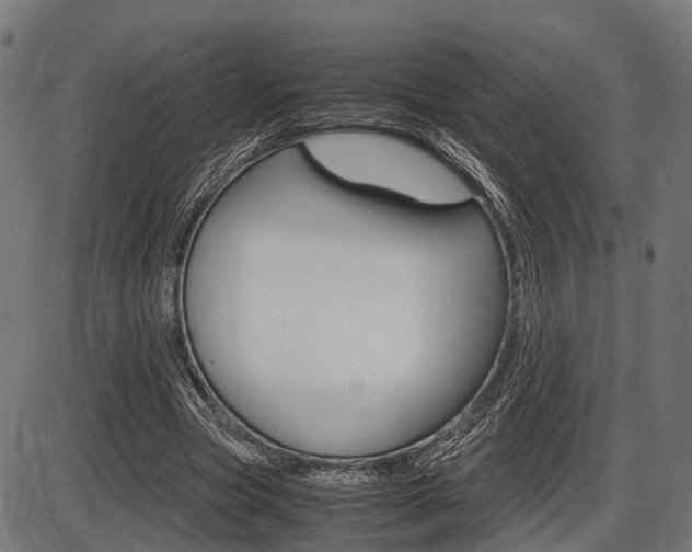 X0000087580537200704271047