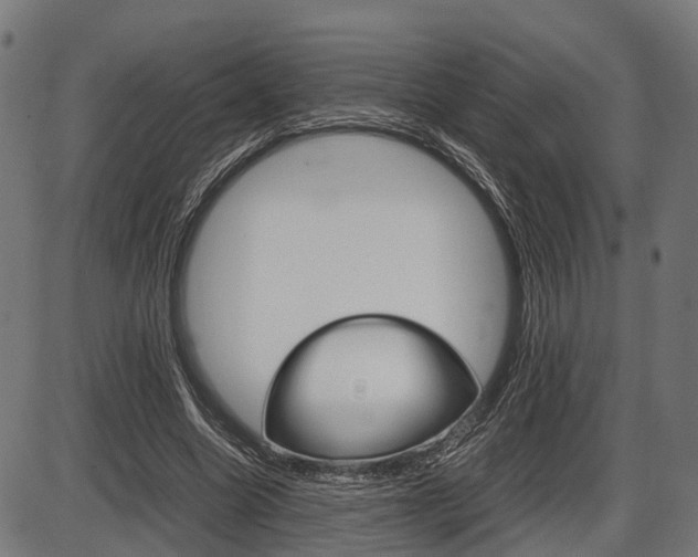 X0000087580538200704271047