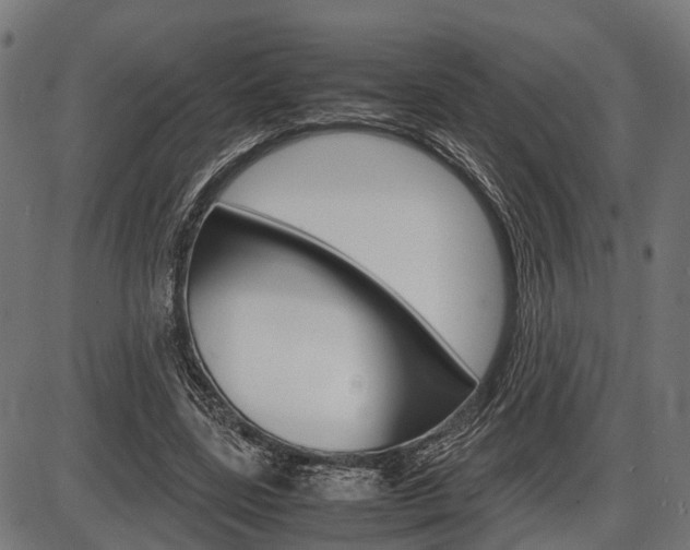 X0000087580539200704271047
