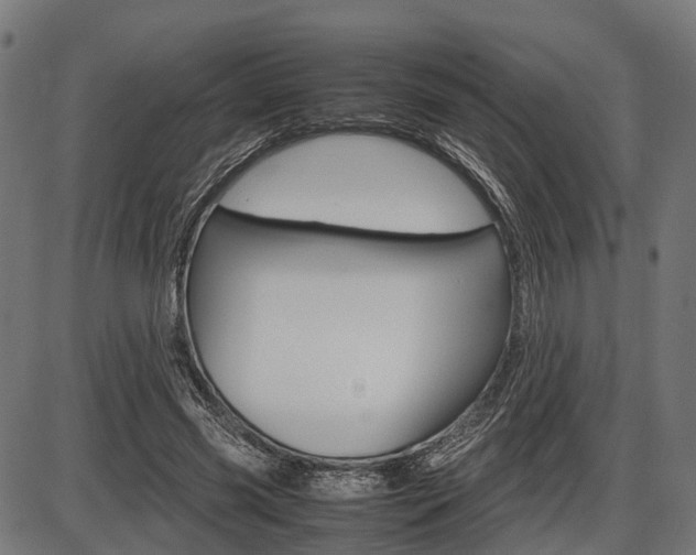 X0000087580541200704271047