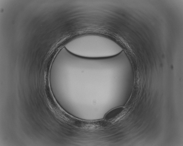 X0000087580542200704271047