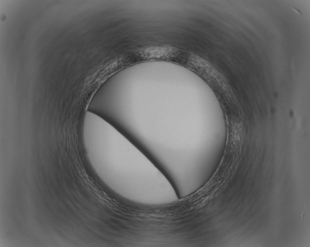 X0000087580545200704271048