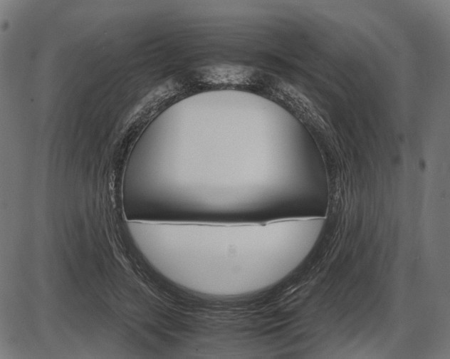 X0000087580547200704271048