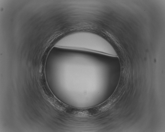 X0000087580548200704271048