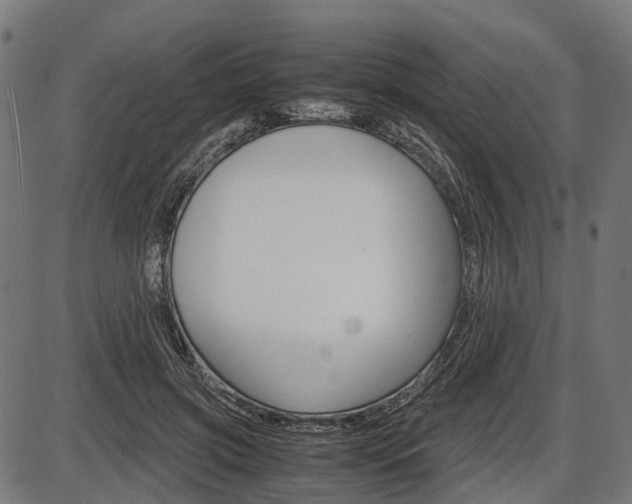 X0000087580549200704271048