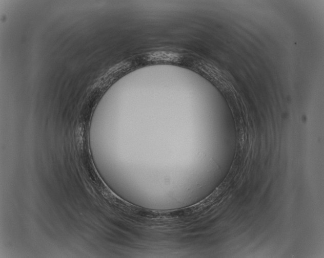X0000087580551200704271048