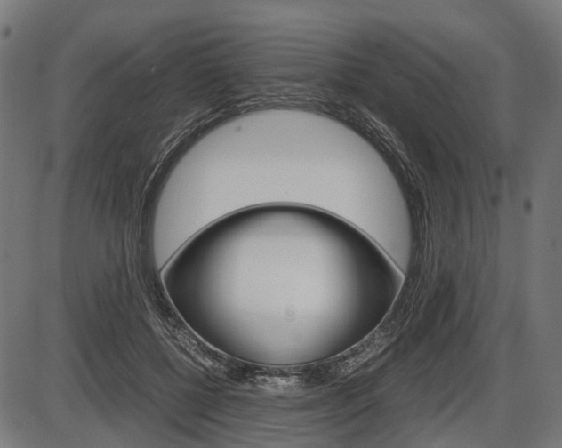 X0000087580552200704271048