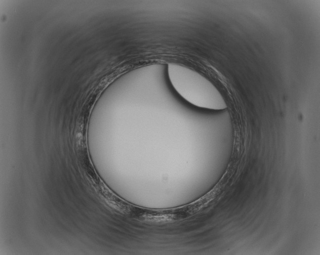 X0000087580553200704271048