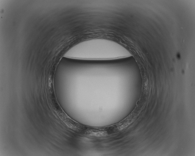 X0000087580555200704271048