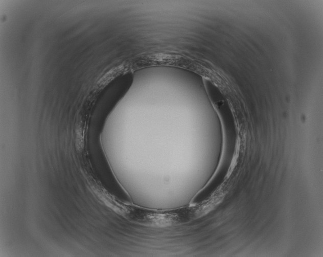 X0000087580558200704271048