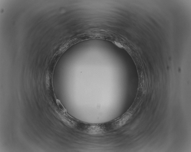 X0000087580562200704271048