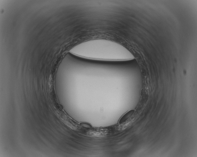 X0000087580563200704271048