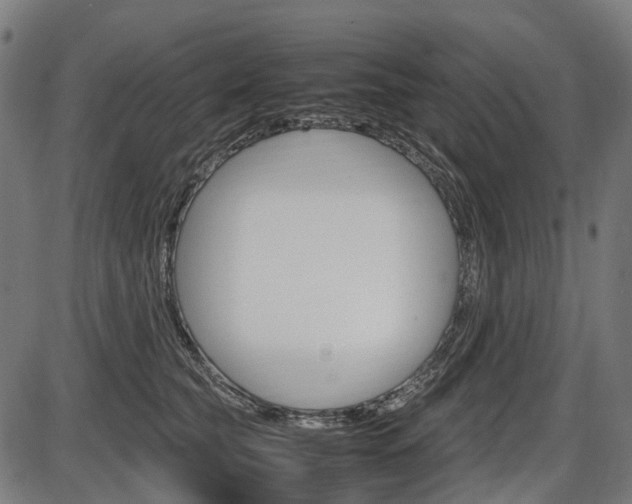 X0000087580565200704271048