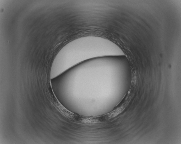 X0000087580568200704271048