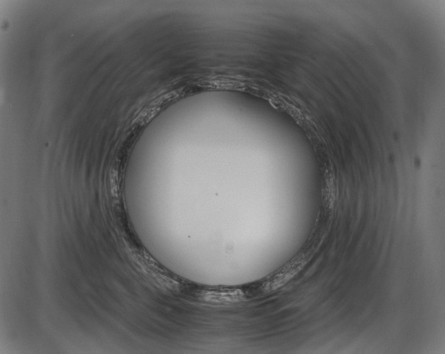 X0000087580571200704271048