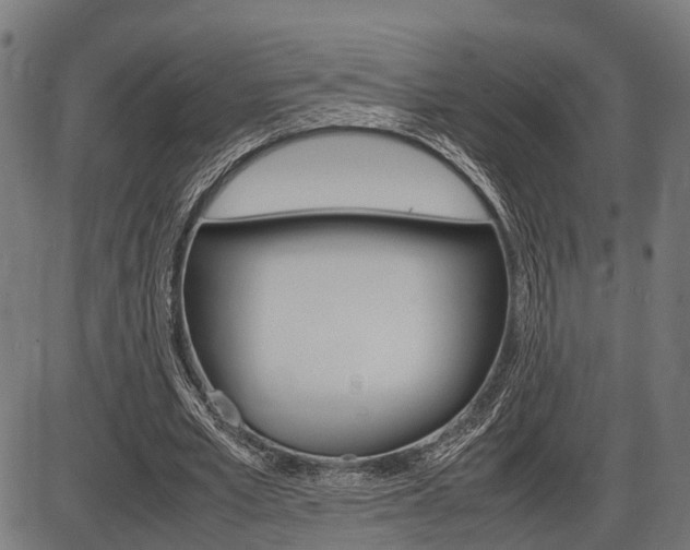 X0000087580581200704271047