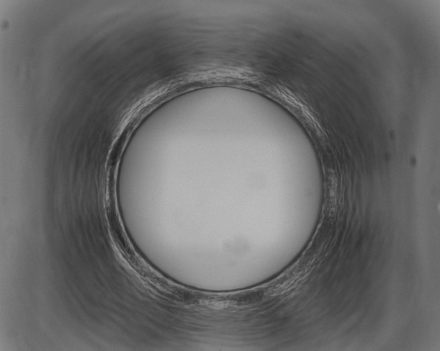 X0000087580582200704271047