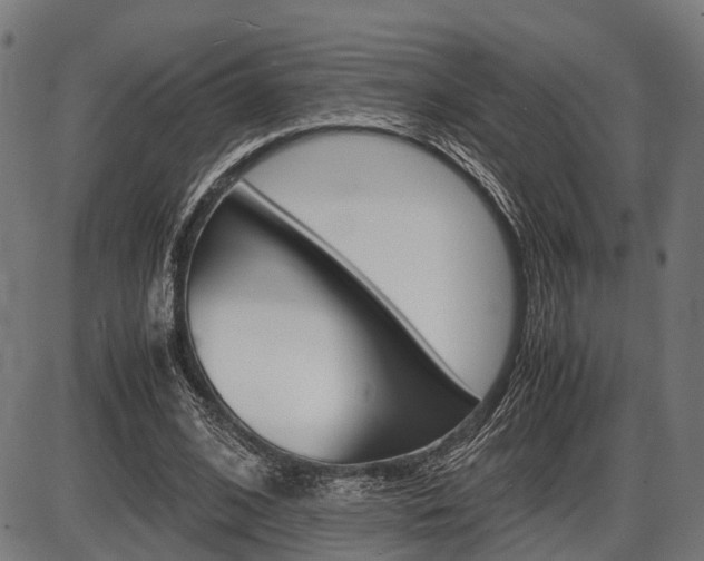 X0000087580584200704271047
