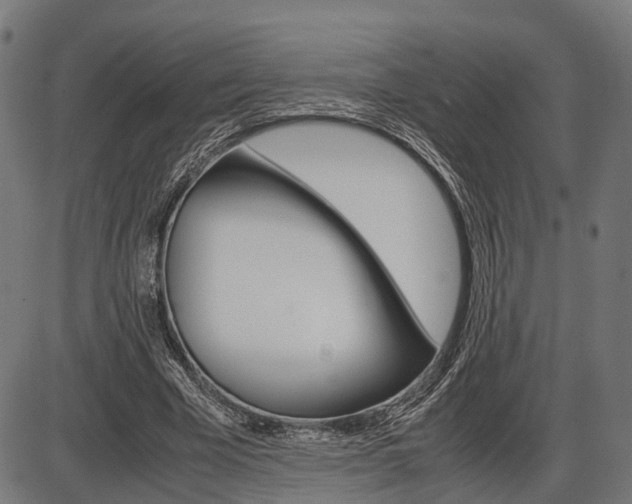 X0000087580585200704271047