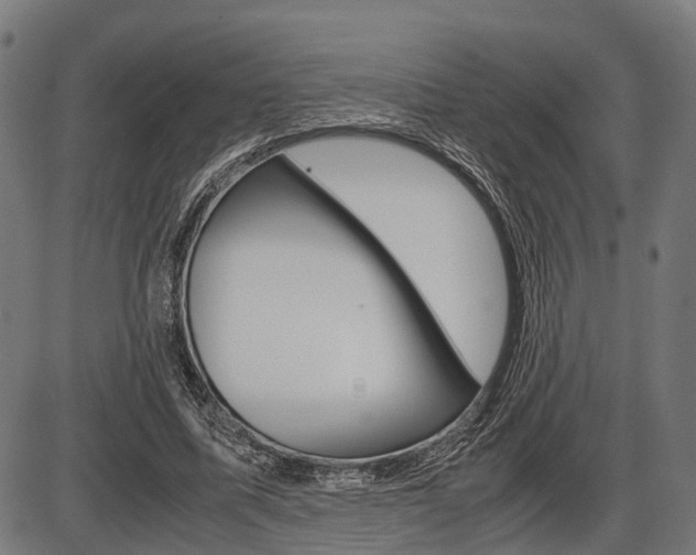 X0000087580587200704271047