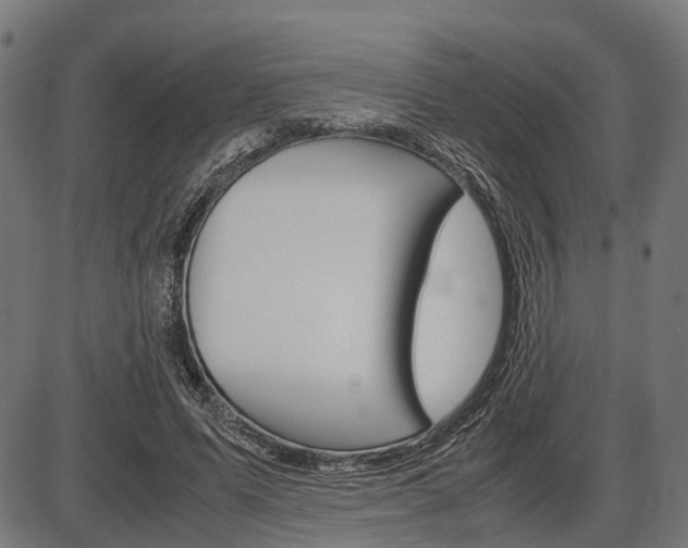 X0000087580591200704271047