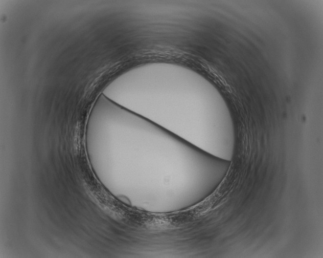 X0000087580594200704271047