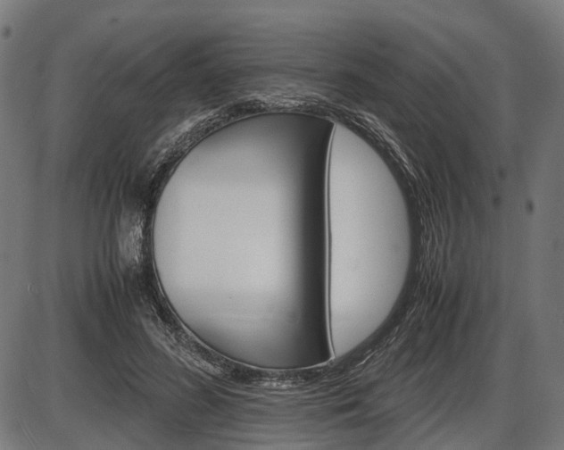 X0000087580596200704271047