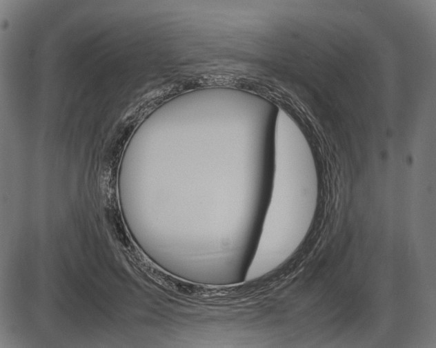 X0000087580599200704271047