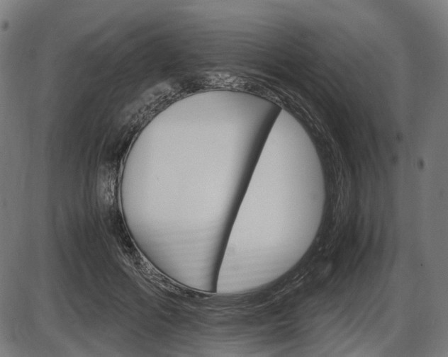 X0000087580602200704271047