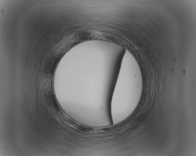 X0000087580603200704271047