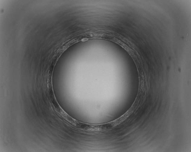 X0000087580604200704271047