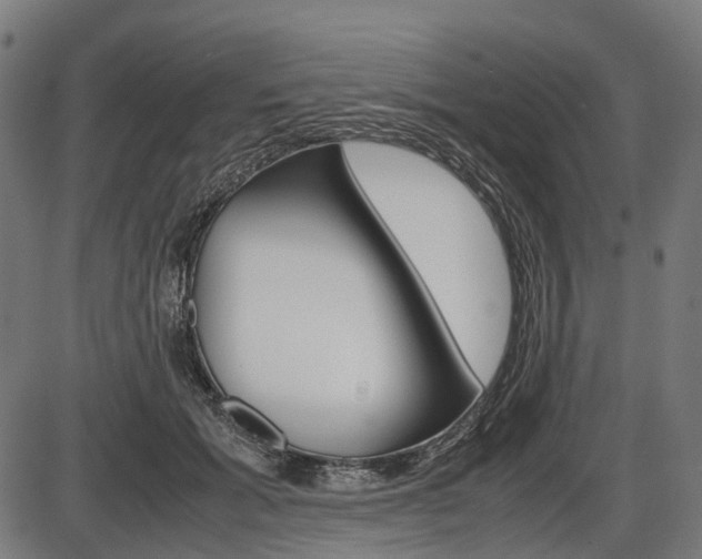 X0000087580605200704271047
