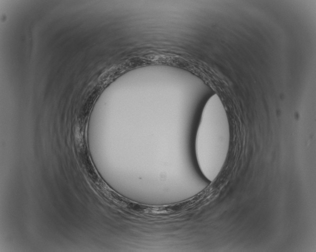 X0000087580607200704271047