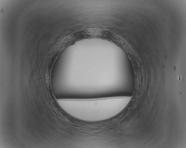 X0000087580609200704271047