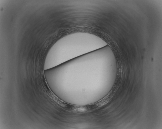 X0000087580610200704271047