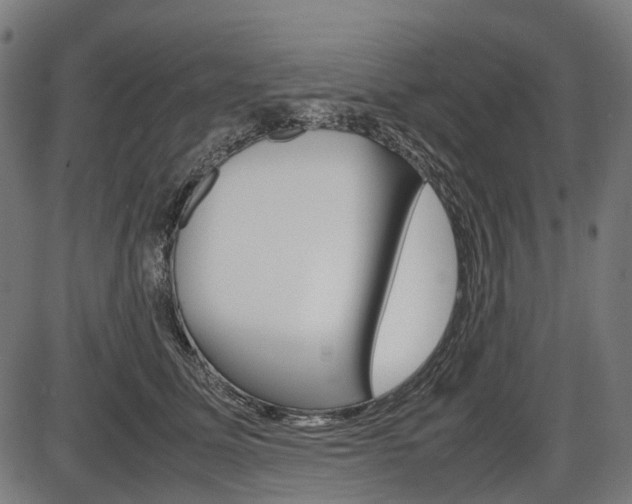 X0000087580611200704271047