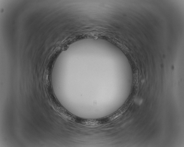 X0000087580615200704271047