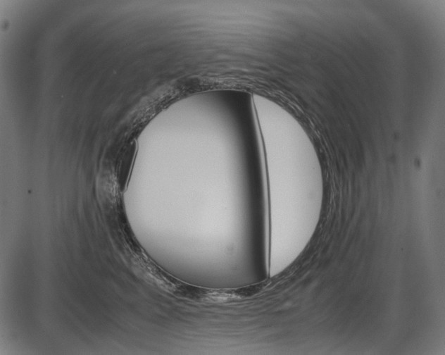 X0000087580617200704271047
