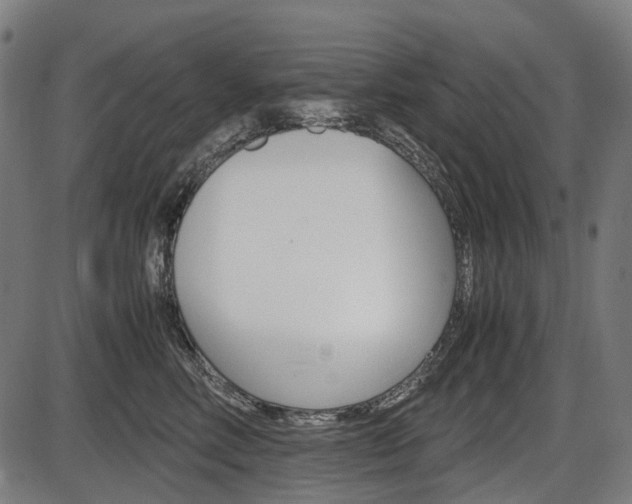 X0000087580618200704271047
