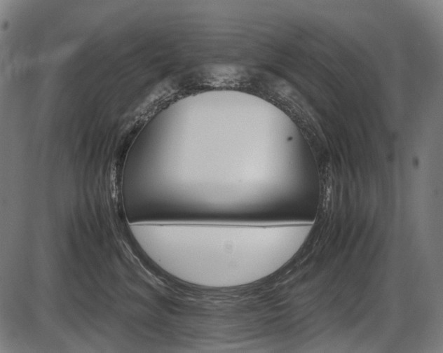 X0000087580620200704271047
