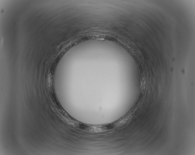X0000087580623200704271046