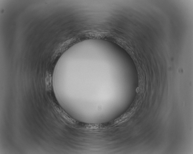 X0000087580624200704271046