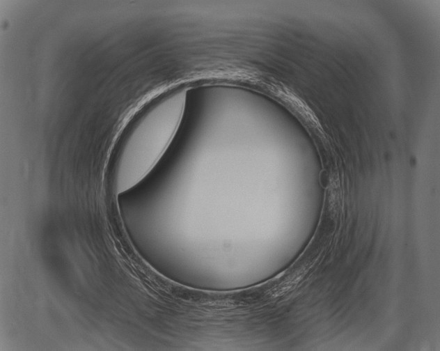 X0000087580628200704271046